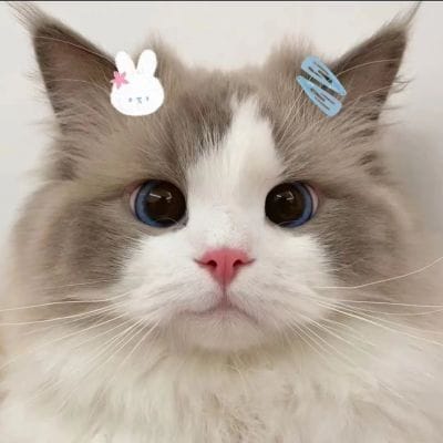 Roxana Retamal avatar